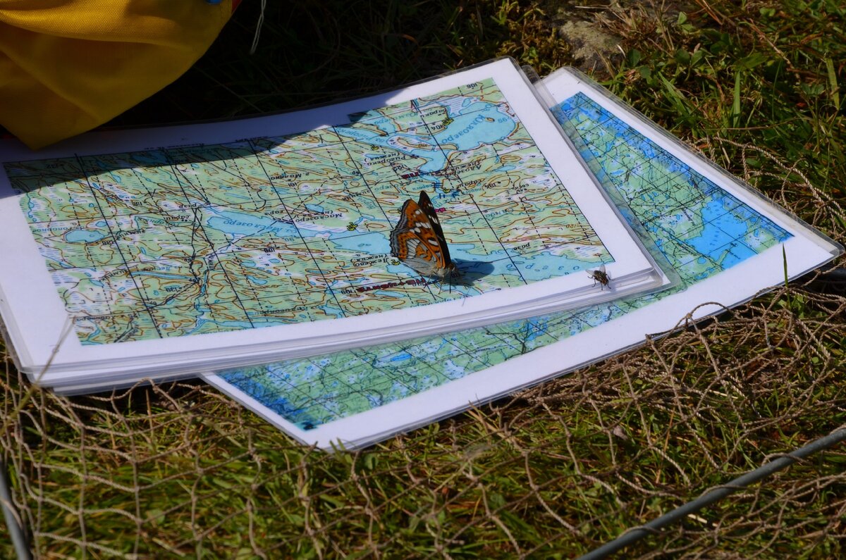 карта маршрута