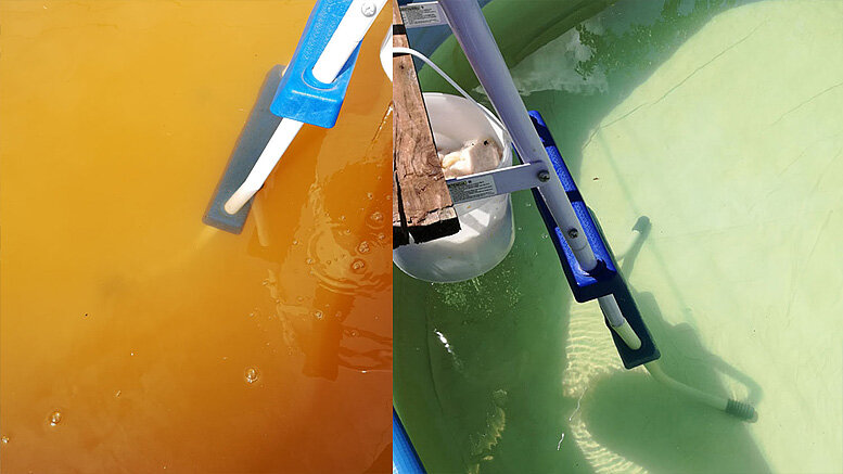 Как очистить воду в бассейне на даче