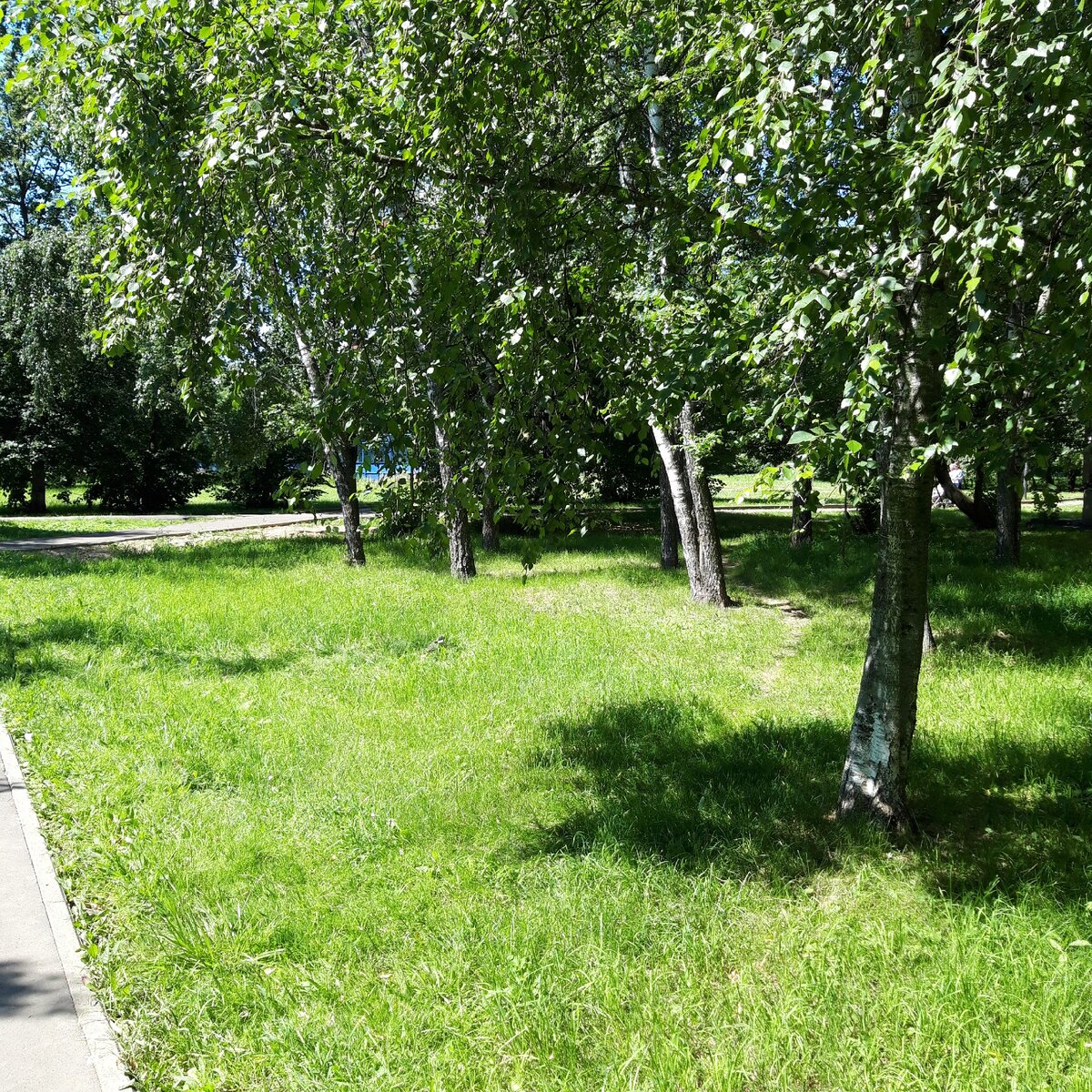 Счастье - это находить радость в каждом моменте