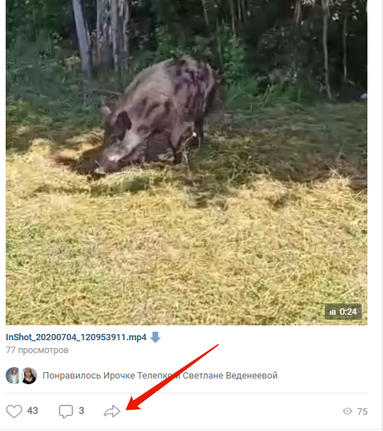 Кликаем по стрелочке