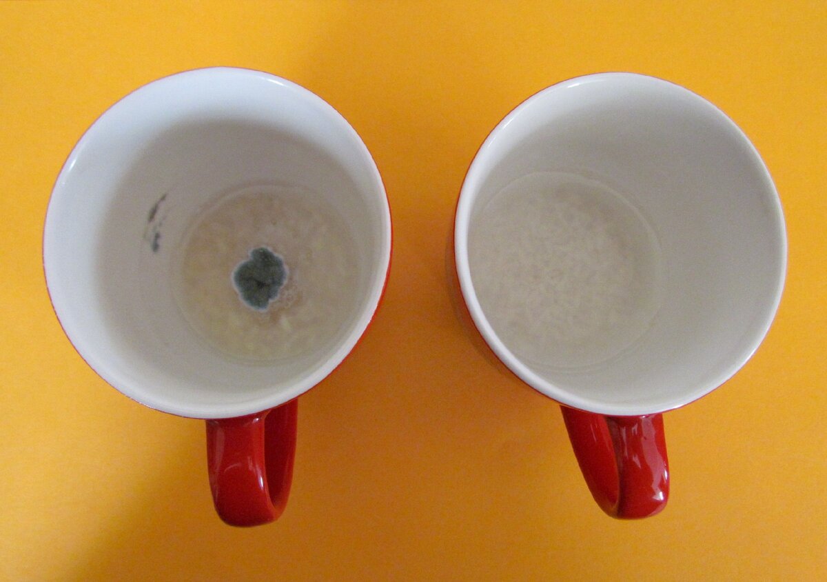 Фото 2. Результат звукового воздействия на воду