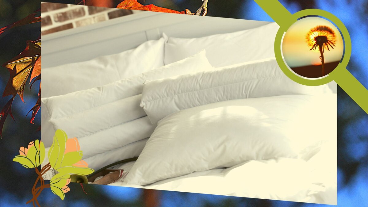 подписывайтесь на мой канал