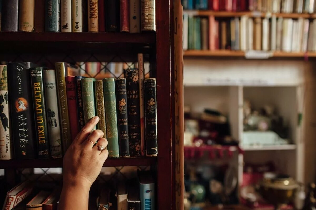 Книги Эстетика