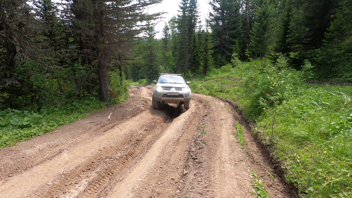 Над колеей.