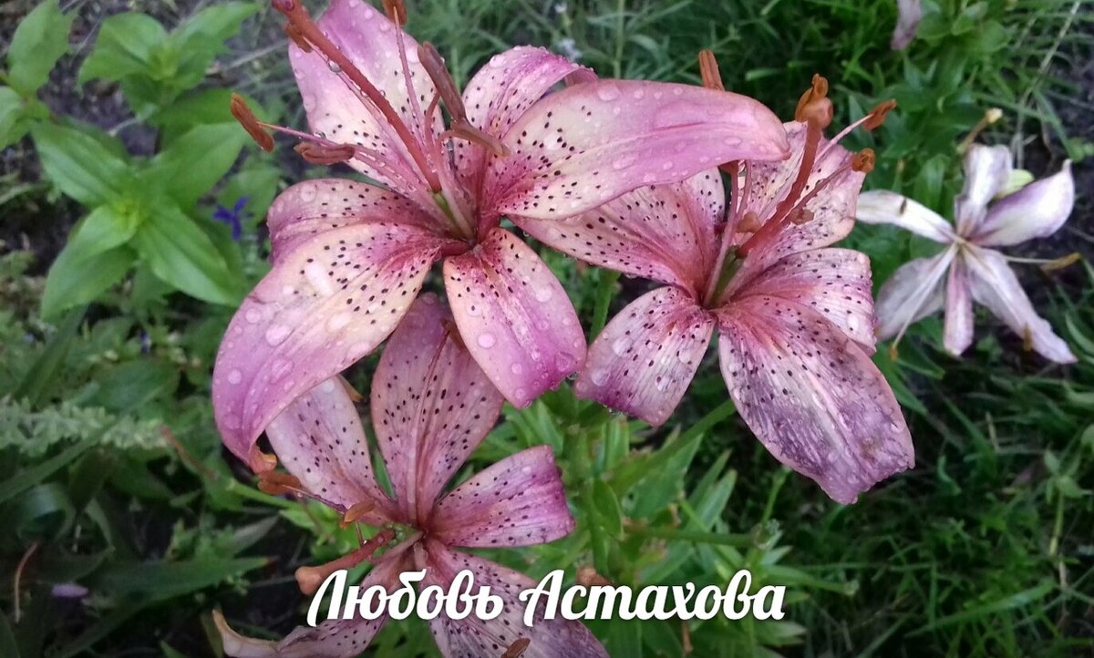 То, что мы родились в богатой и благородной семье, ещё не служит гарантом того, что над нашей головой всегда будет ясное небо. 