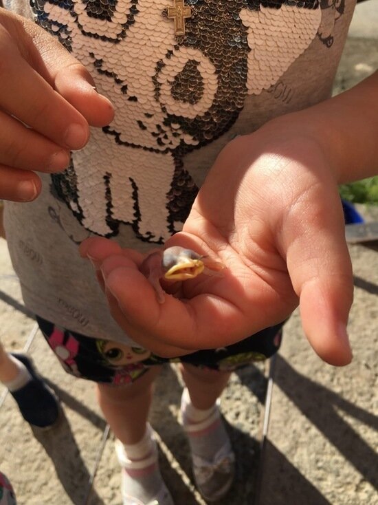  
Фото: vk.com Подслушано в Салехарде