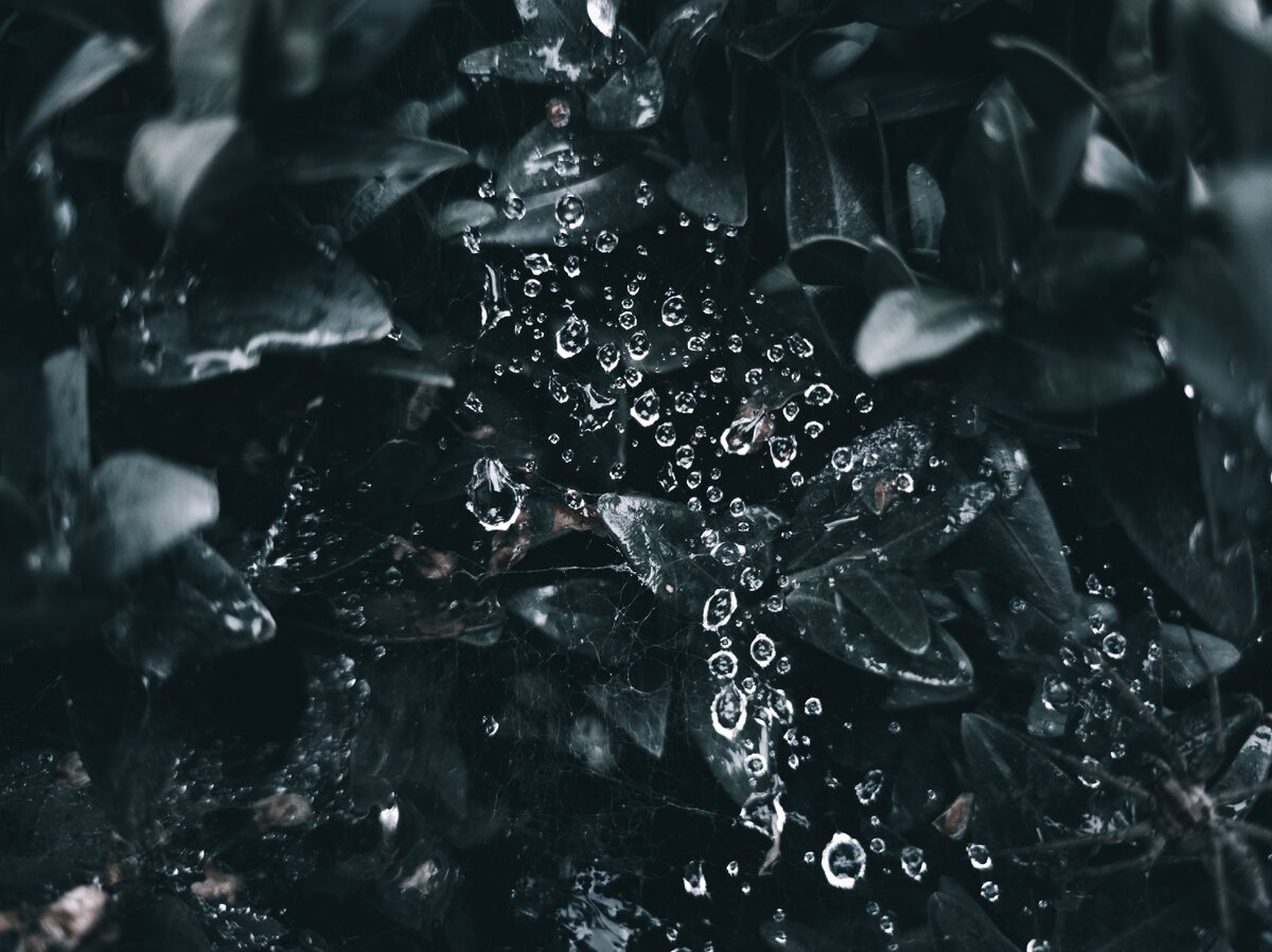 Photo by Artem Kotliar