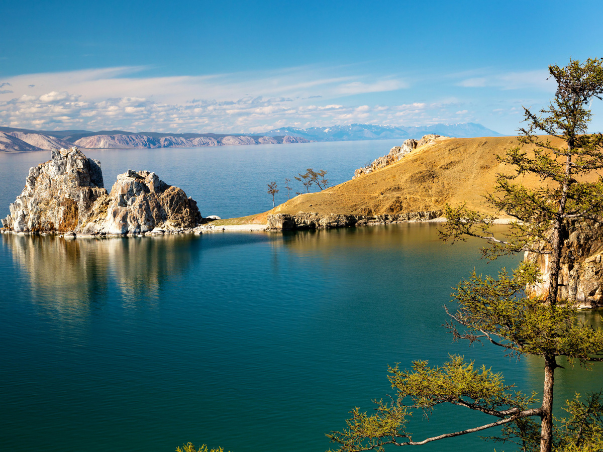 Из открытого источника. Интернет.