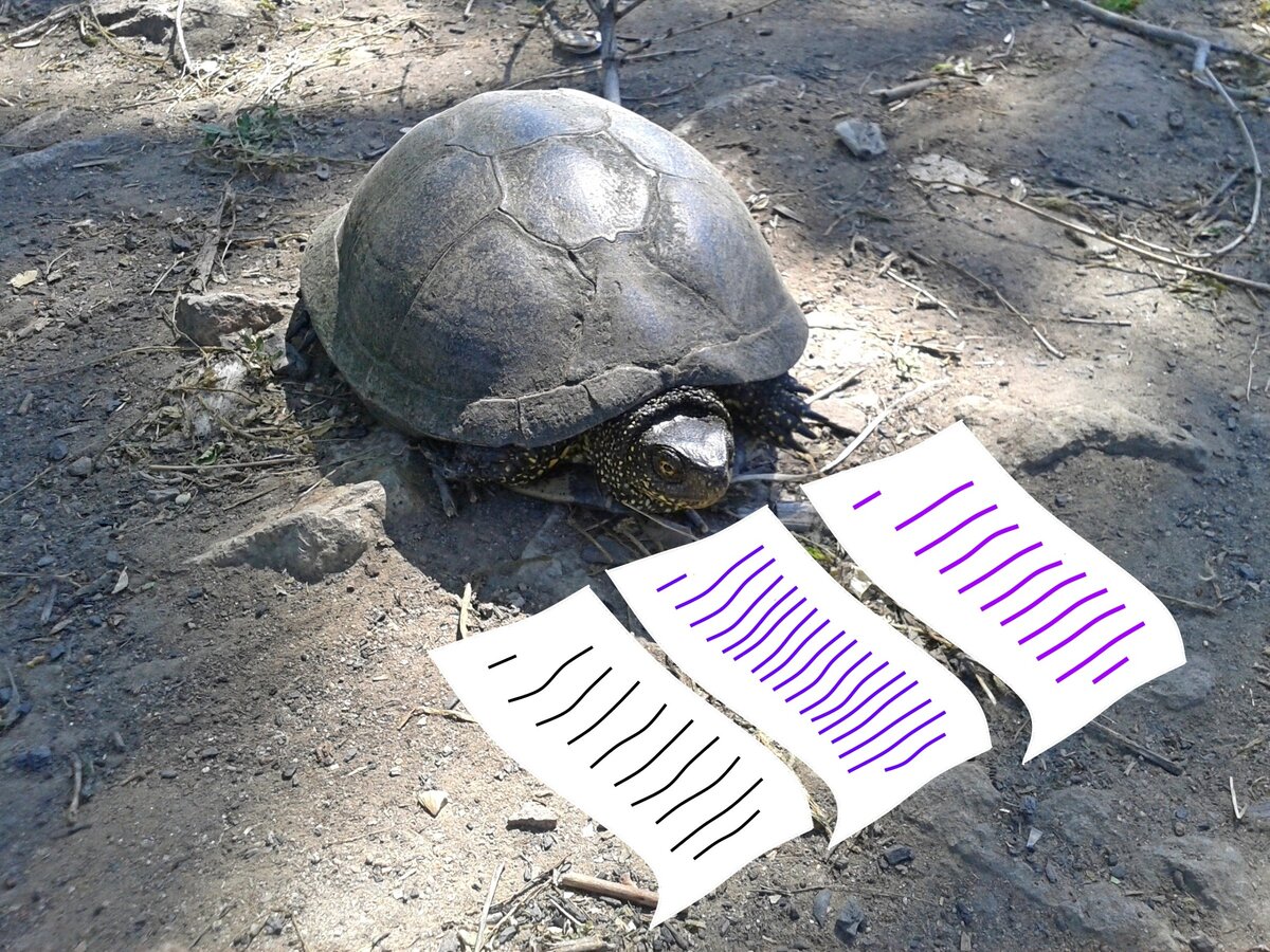 Клиент "Я-в-домике" выполнил  задание