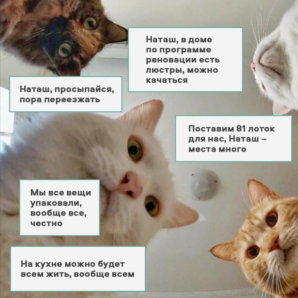 Из публикации Фонда реновации. Фото: Facebook / Московский фонд реновации жилой застройки