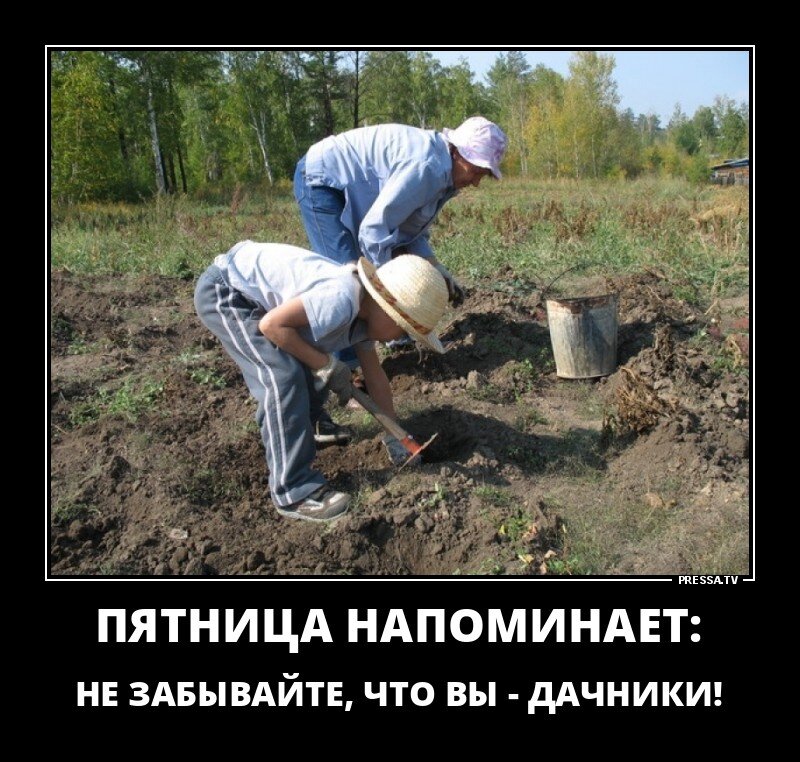 Дача юмористические картинки