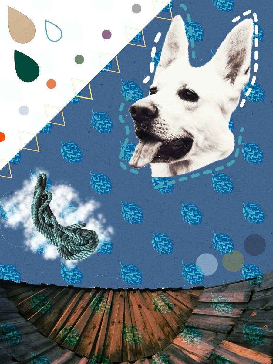 Подсказка на фото :) А для тех, кто не любит ребусы, есть статья