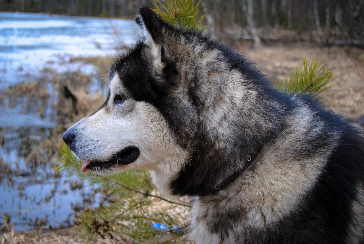 фото из личного архива