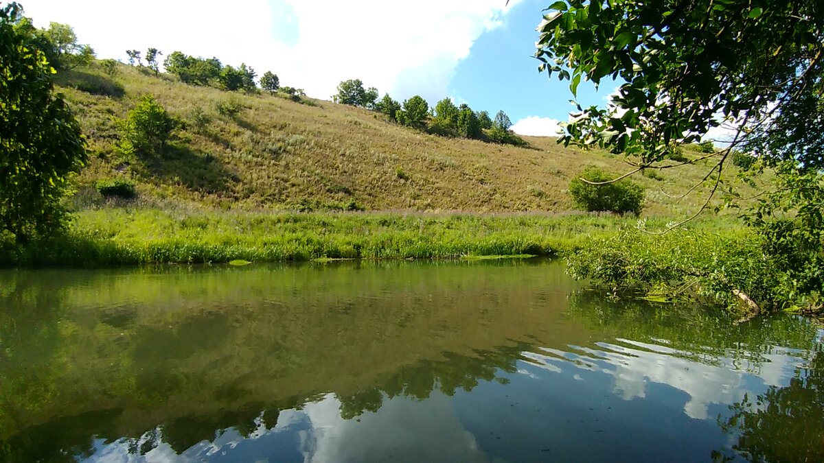 река Воргол
