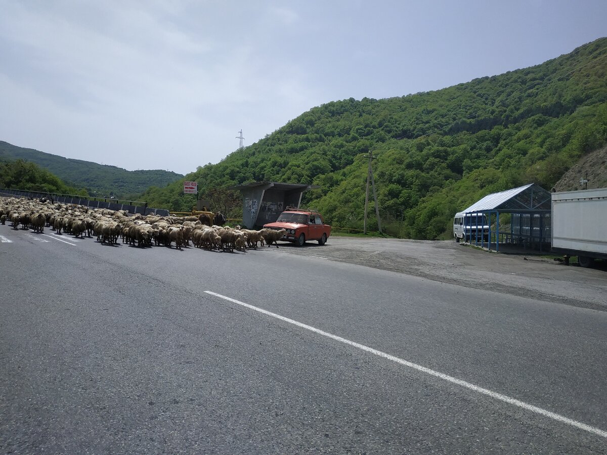 Это Кавказ, детка!