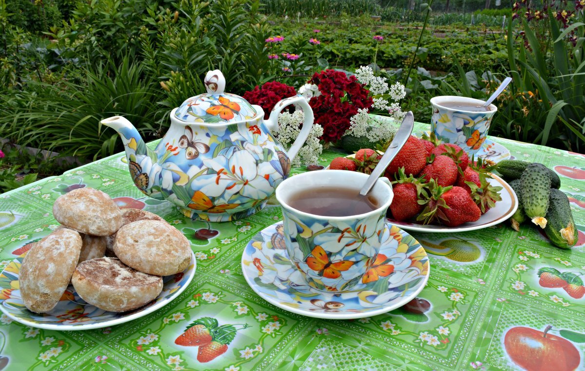 Чаепитие в саду. Летнее чаепитие в саду. Чаепитие на природе. Утреннее чаепитие.