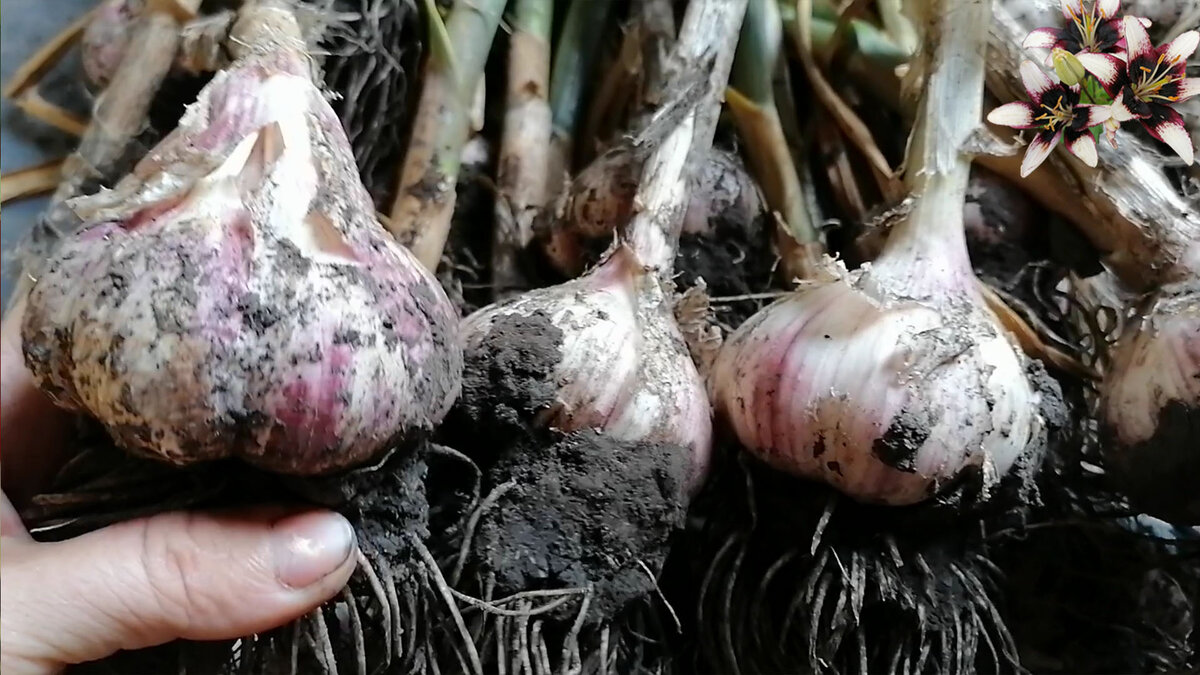 Не забывайте подписываться на канал, чтобы не пропустить новые статьи