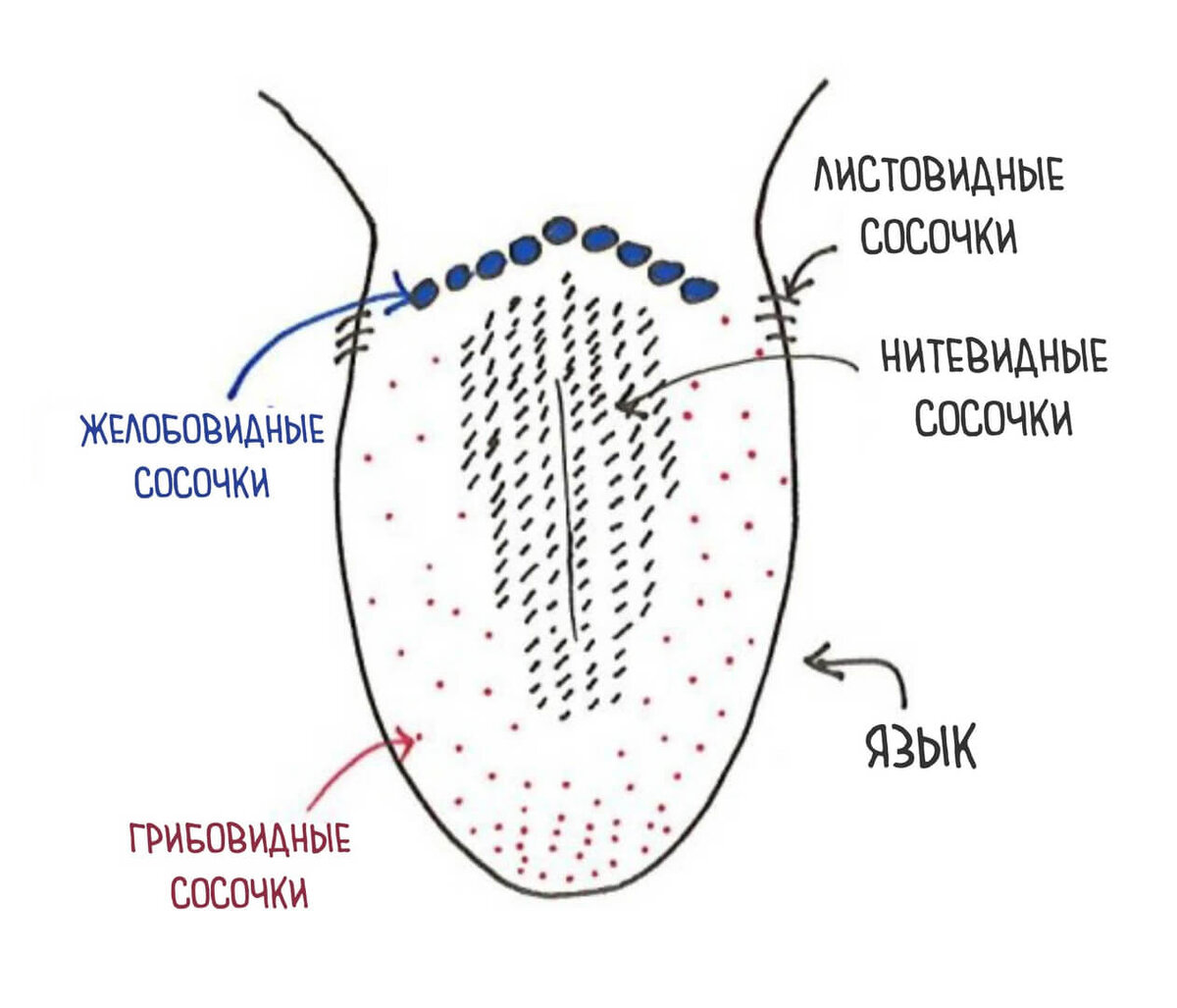 На языке болит прыщик: что делать