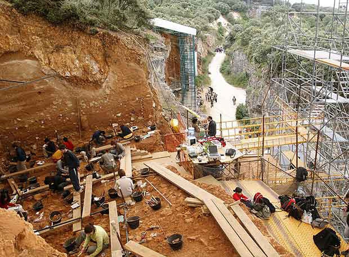 Новое открытие заполняет пробел в истории человеческой эволюции Atapuerca 