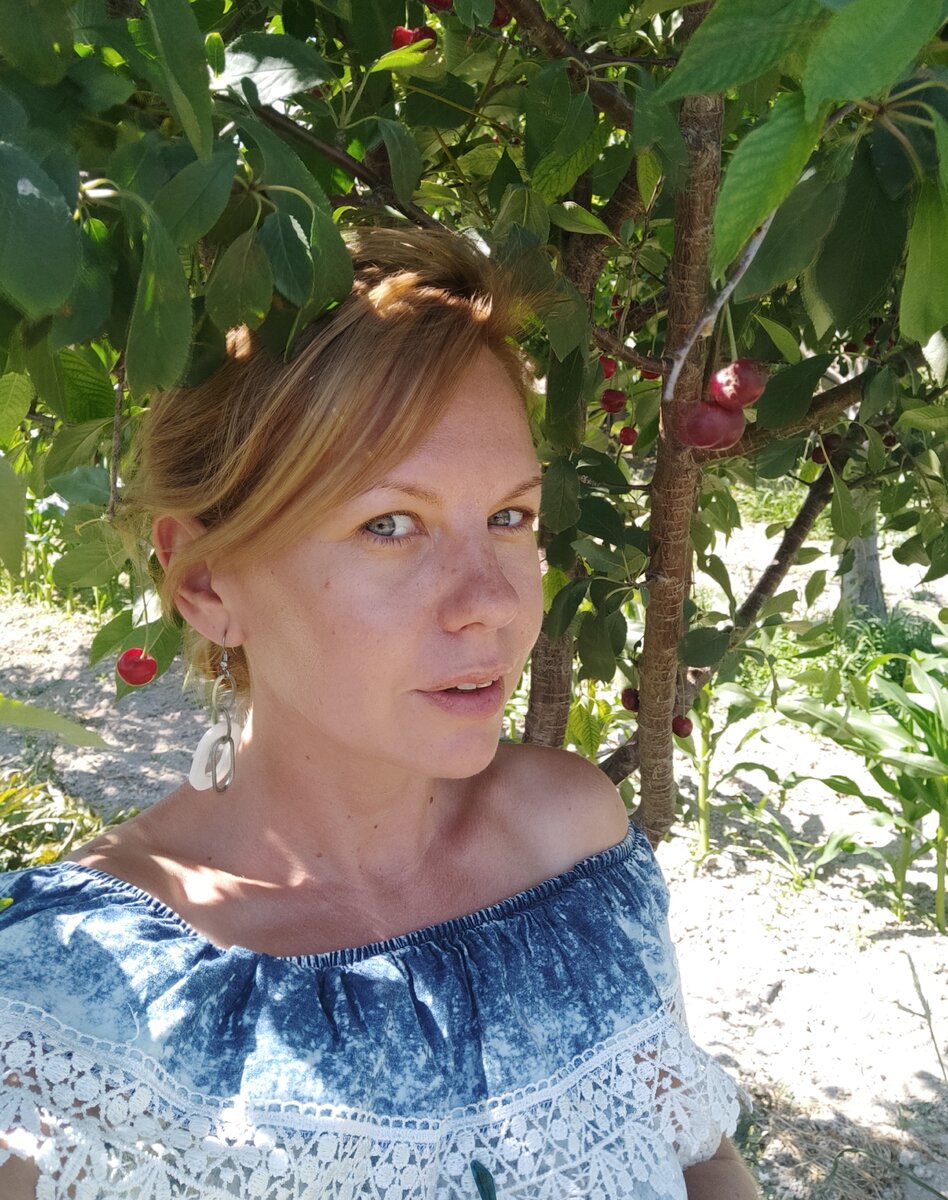 Вишня по-гречески  "висыно". Я нашла вишню на Крите, в деревне Мегали Вриси, и очень радуюсь (фото автора)