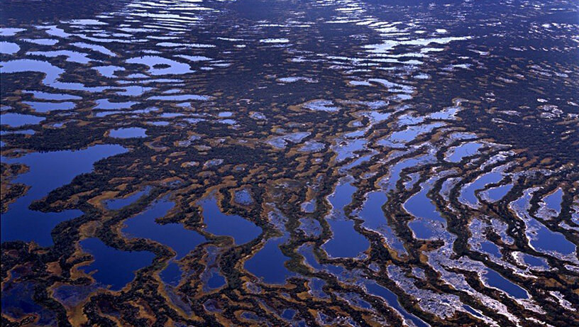 Фото: wikiway.com