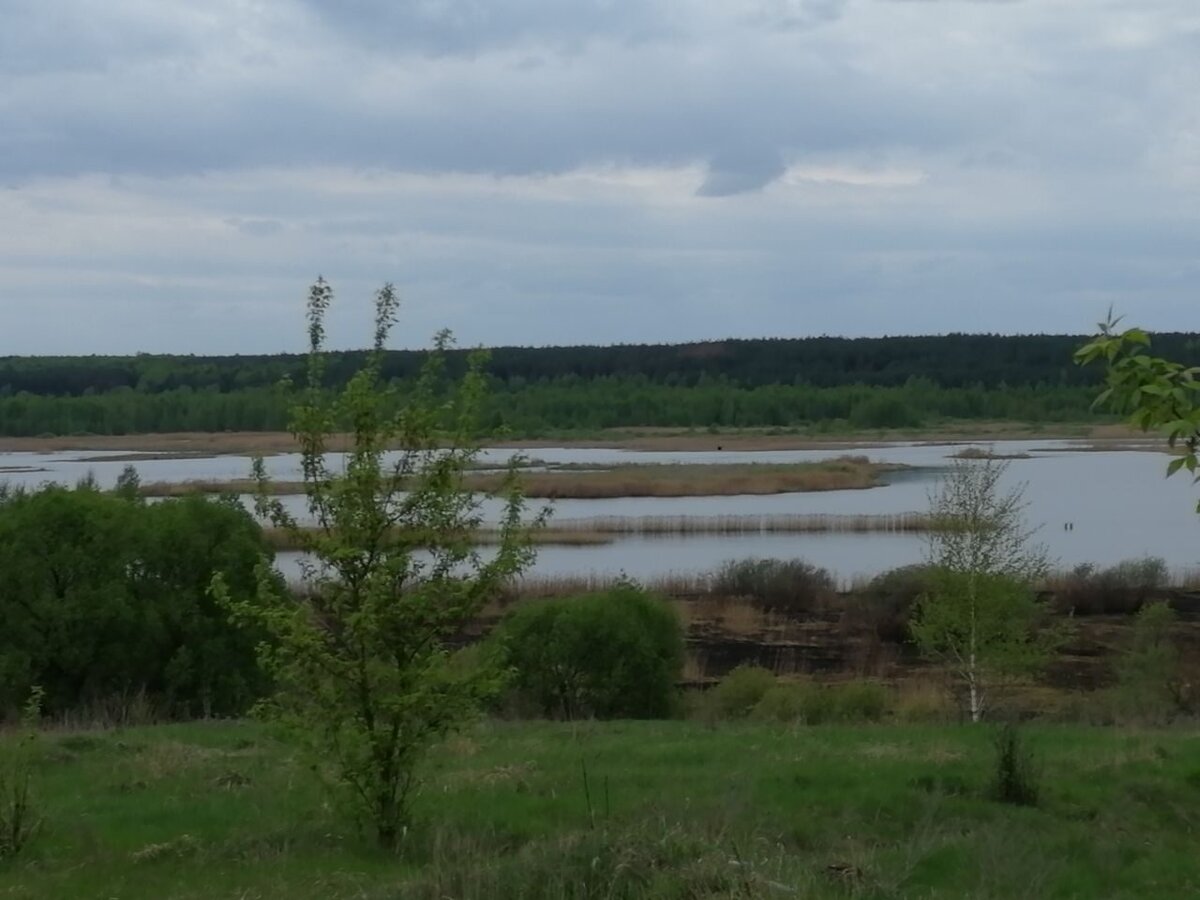 Озеро Кожановское. Видны насыпи посреди озера от узкоколейной железной дороги.