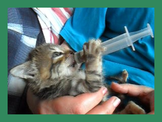 Надо, Филя, надо! (Фото взято из соцсети "ВКонтакте").