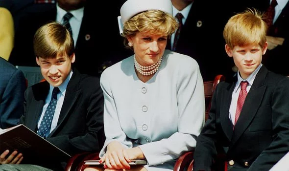 Фото из открытого источника: gettyimages.com
