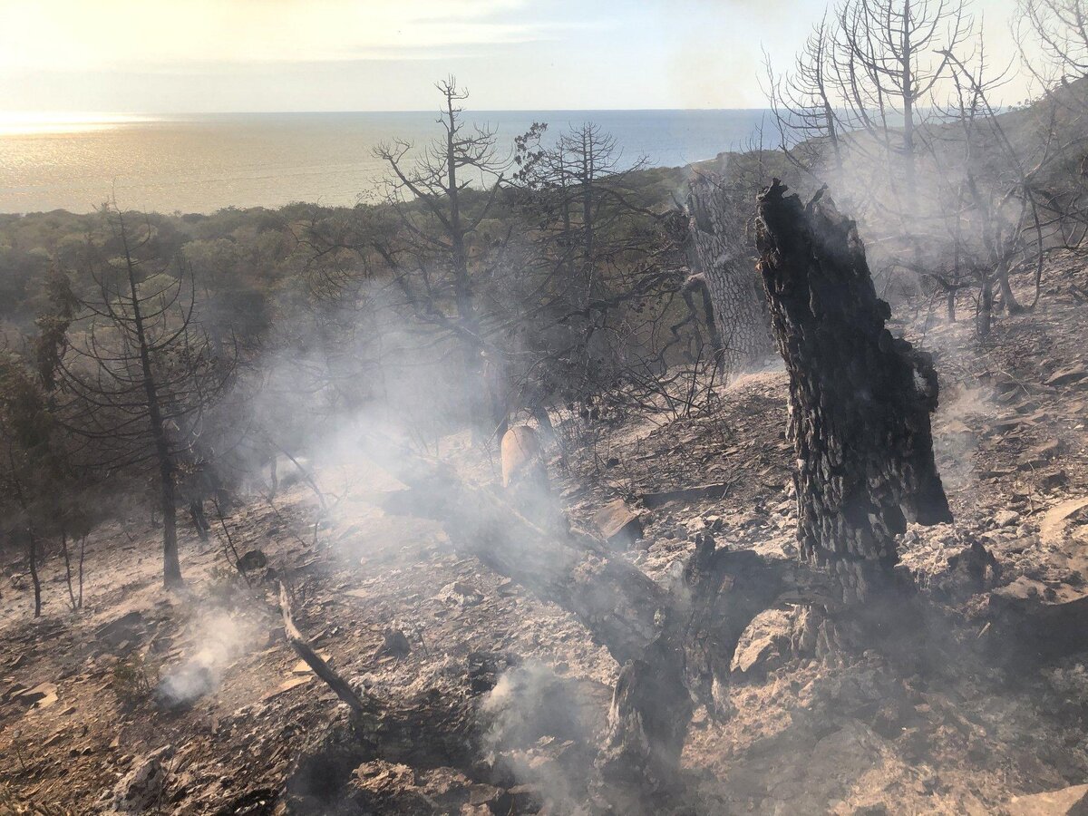 Фотография взята из свободного доступа в сети интернет