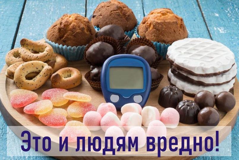 Изображение автора