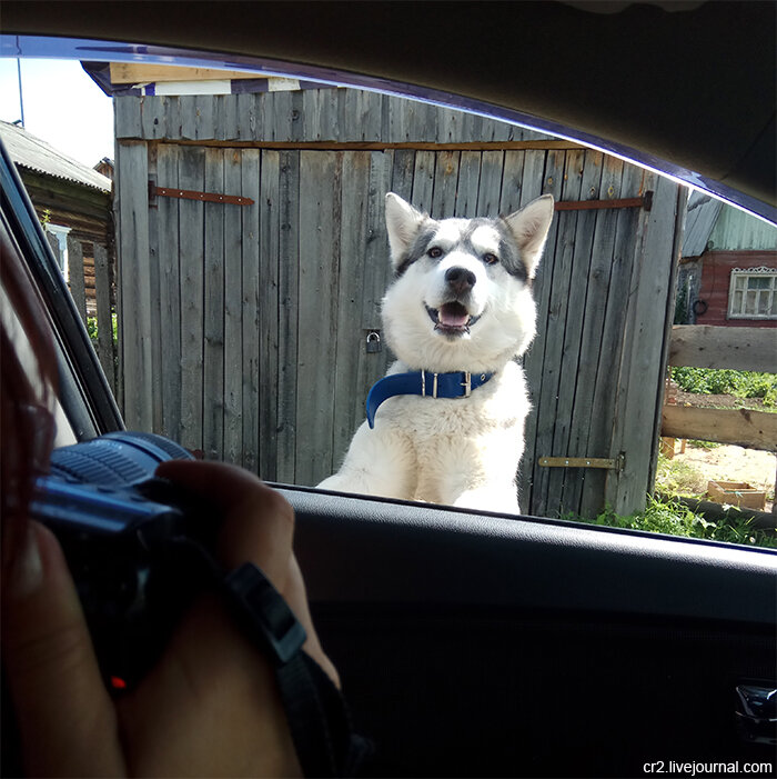 В деревне Осиновская. Шенкурский район, Архангельская область