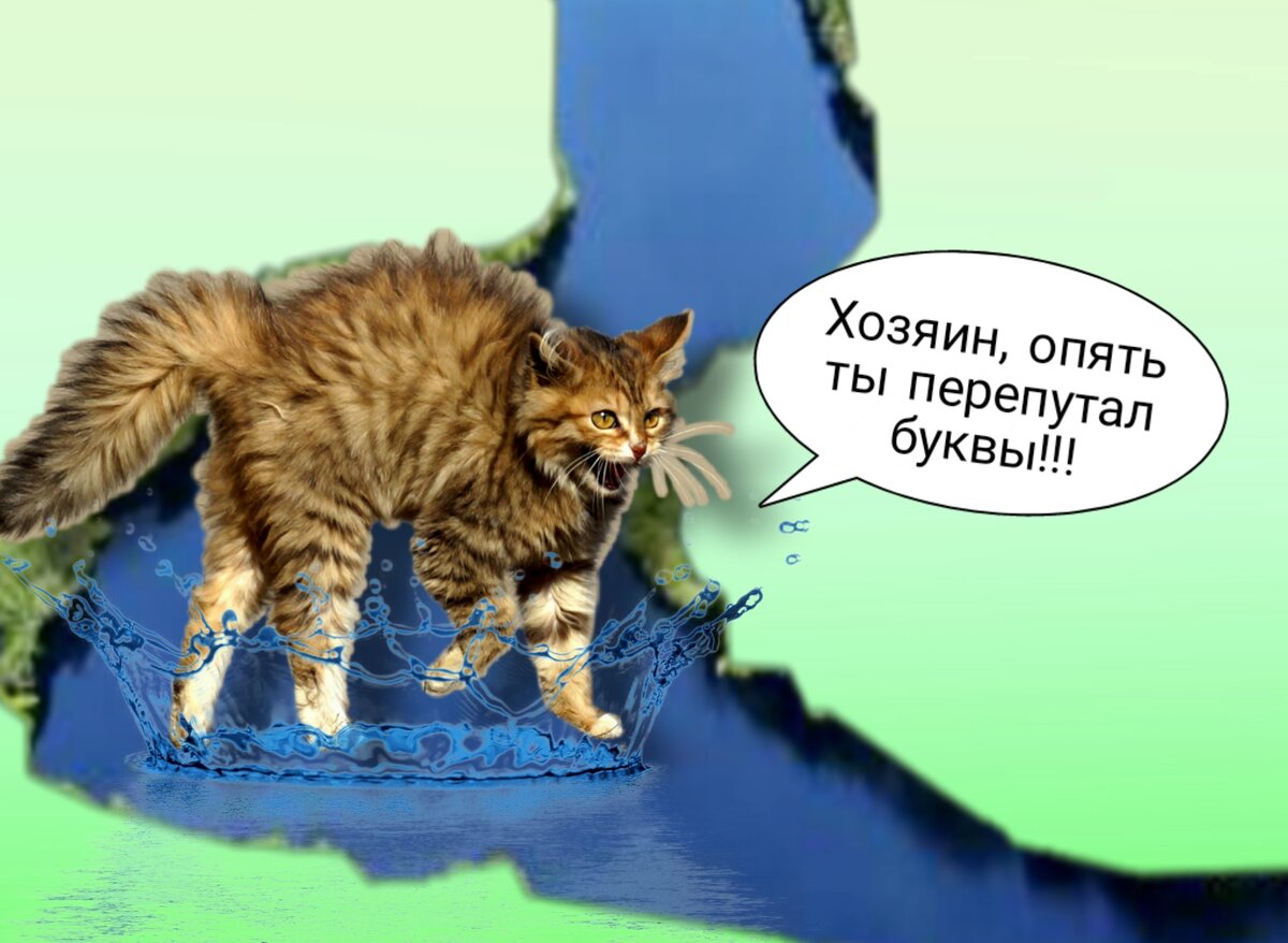 Котик гневается. Не гневи котика, не путай буквы!