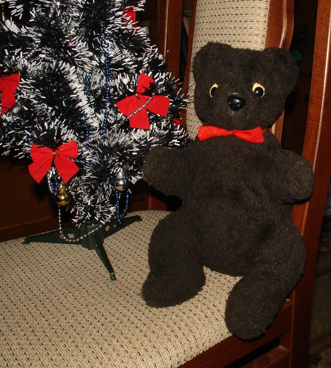 Это и есть наш старичок, наш любимый медвежонок. Фото автора.