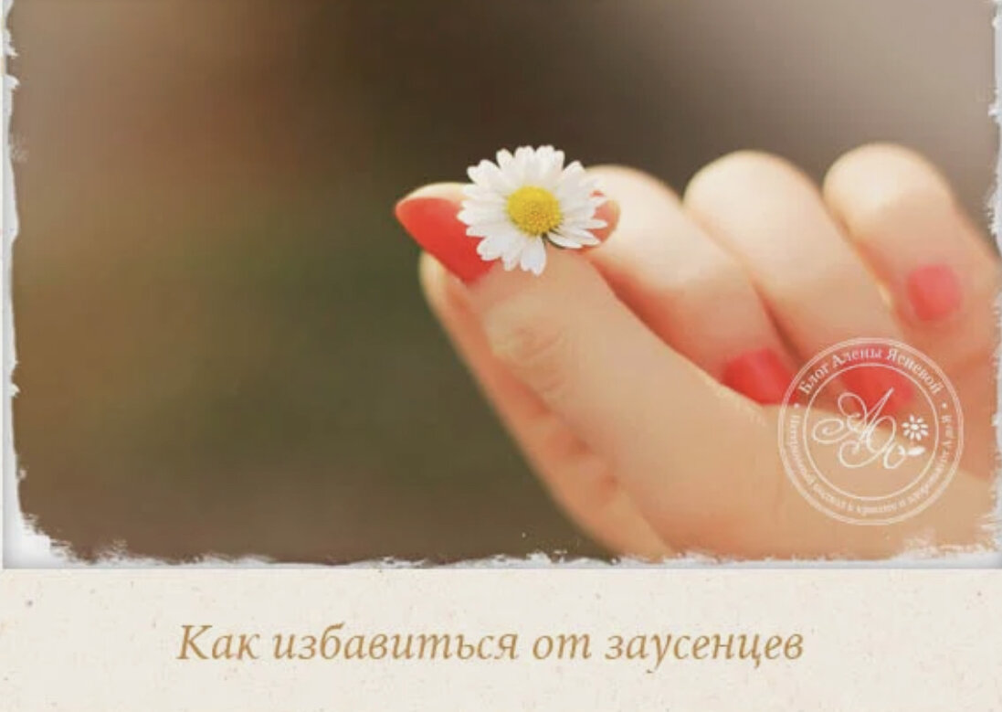 Взято с Яндекс картинок 