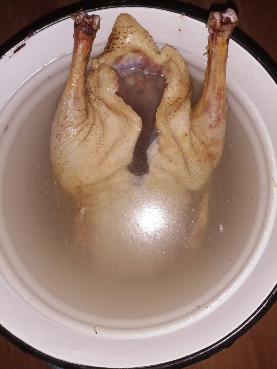 Гусь в рассоле.