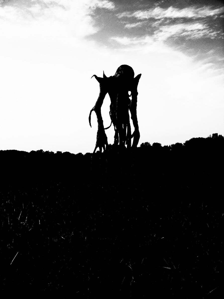 Изображение из открытых источников.