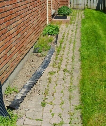 Привлекательность и функциональность тротуарной плитки, ее преимущества перед другими видами покрытия практически никто не оспаривает. Однако владельцы загородных домов часто сталкиваются с одной проблемой, которая может испортить представление об этом материале, - проблемой появления сорняков в швах между плитками. Разумеется, зазоры между плитками выполняют важную функцию – впитывают лишнюю влагу и защищают покрытие от разрушения. Но природа берет свое, в швы попадают семена растений, которые разносит ветер, и дорожка теряет свою внешнюю привлекательность из-за проросших в ней сорняков.