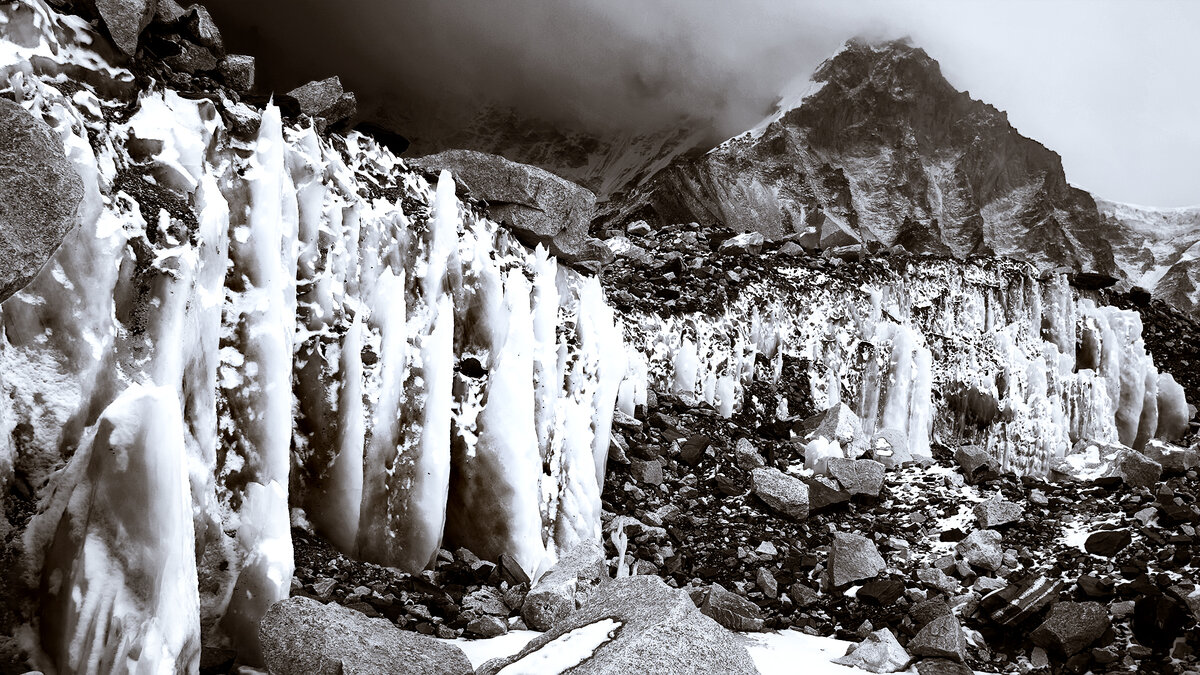 Черно-белое фото