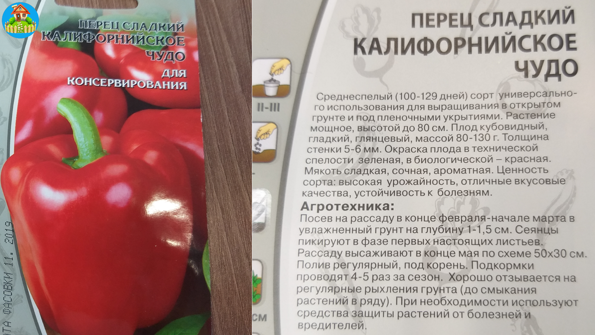 Перец подарок описание сорта фото отзывы