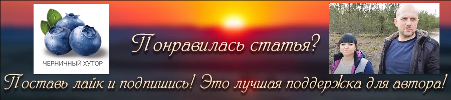 Черничный хутор где находится. Канал черничный Хутор. Черничный Хутор дзен канал. Черничный Хутор Беларусь. Белорусский канал черничный Хутор.