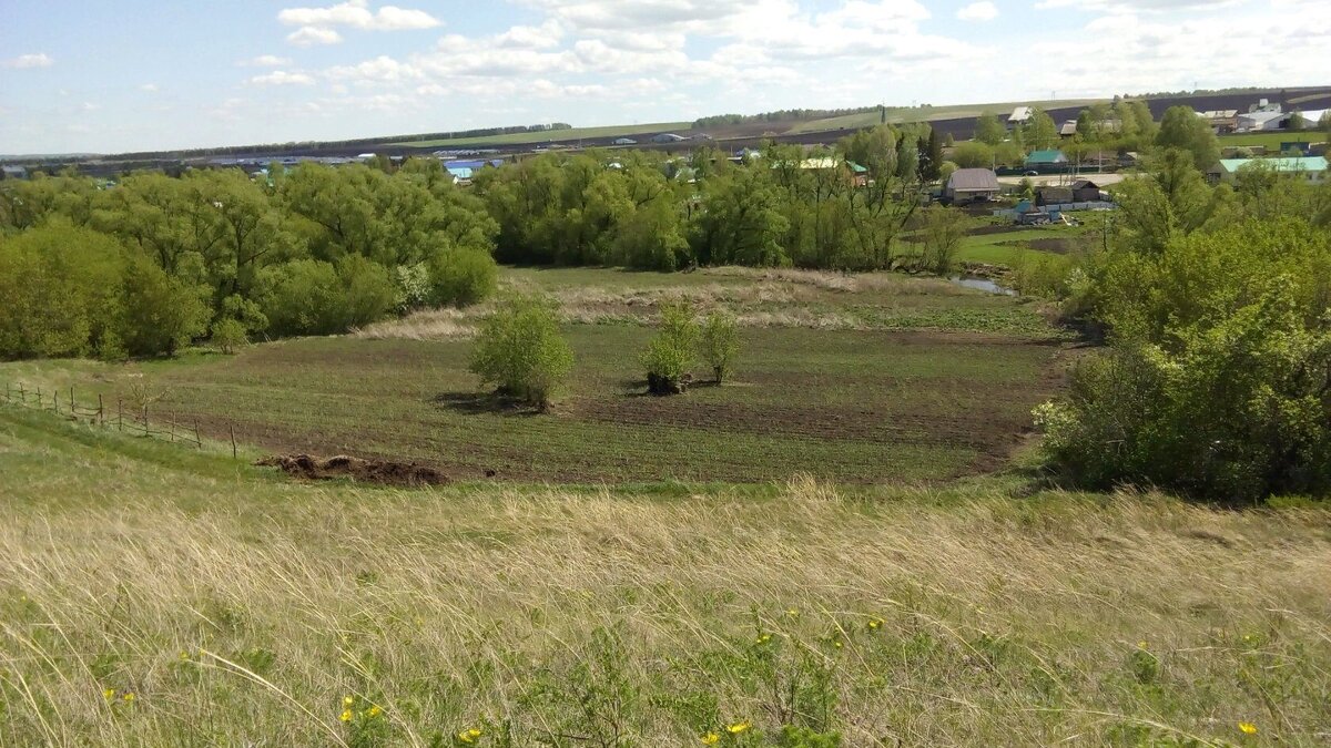 Мой участок под чесноком вид сверху 