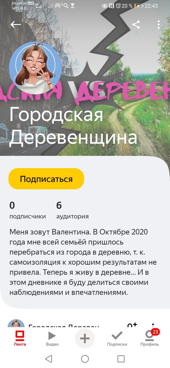 На блоге пока всего одна статья про подготовку к переезду от 25 января. Я стала первым подписчиком (После скрина)