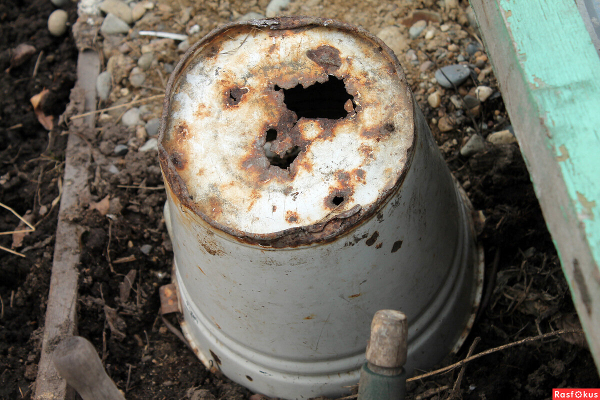 Фото из интернета