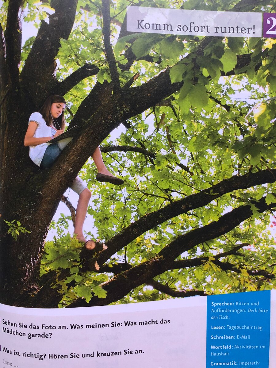 Вот та картинка из учебника