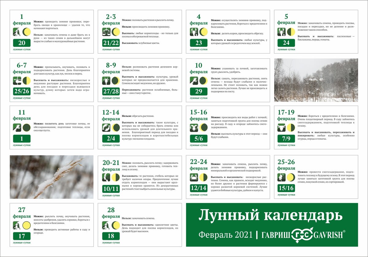 посадка по лунному календарю 2023. лунный посевной календарь на 2022 год. лунный календарь март 2024г посевной садовода. лунный календарь март 2024г посевной садовода. посевной календарь для урала.