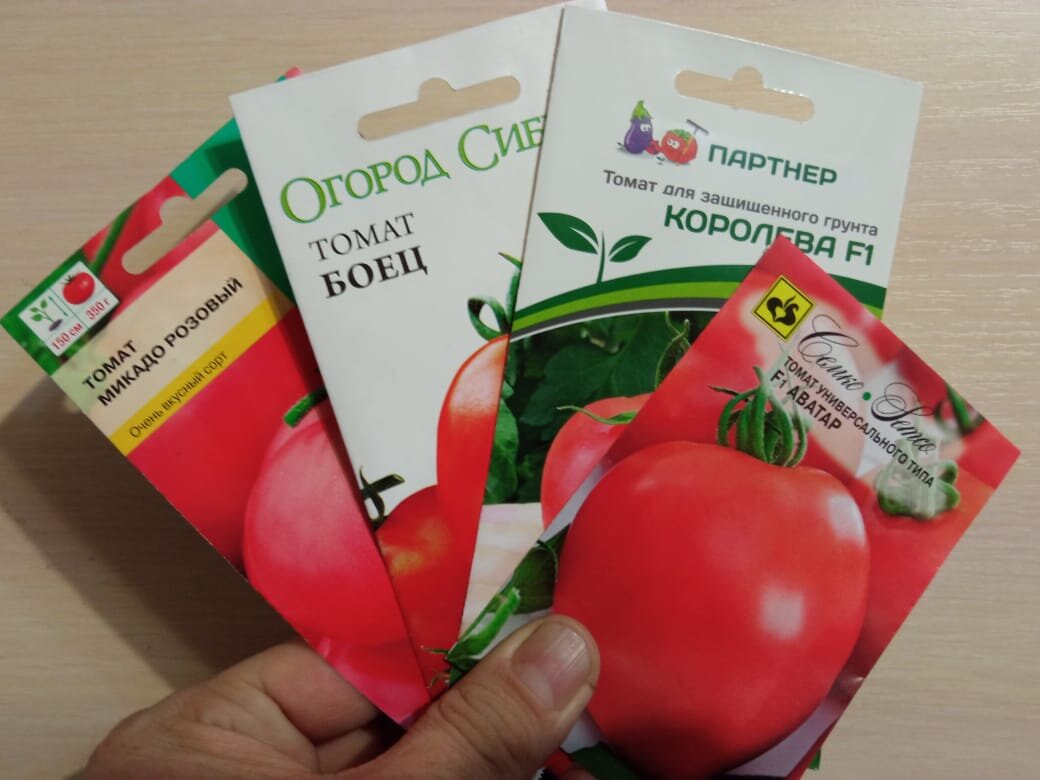 Какие томаты выбрать