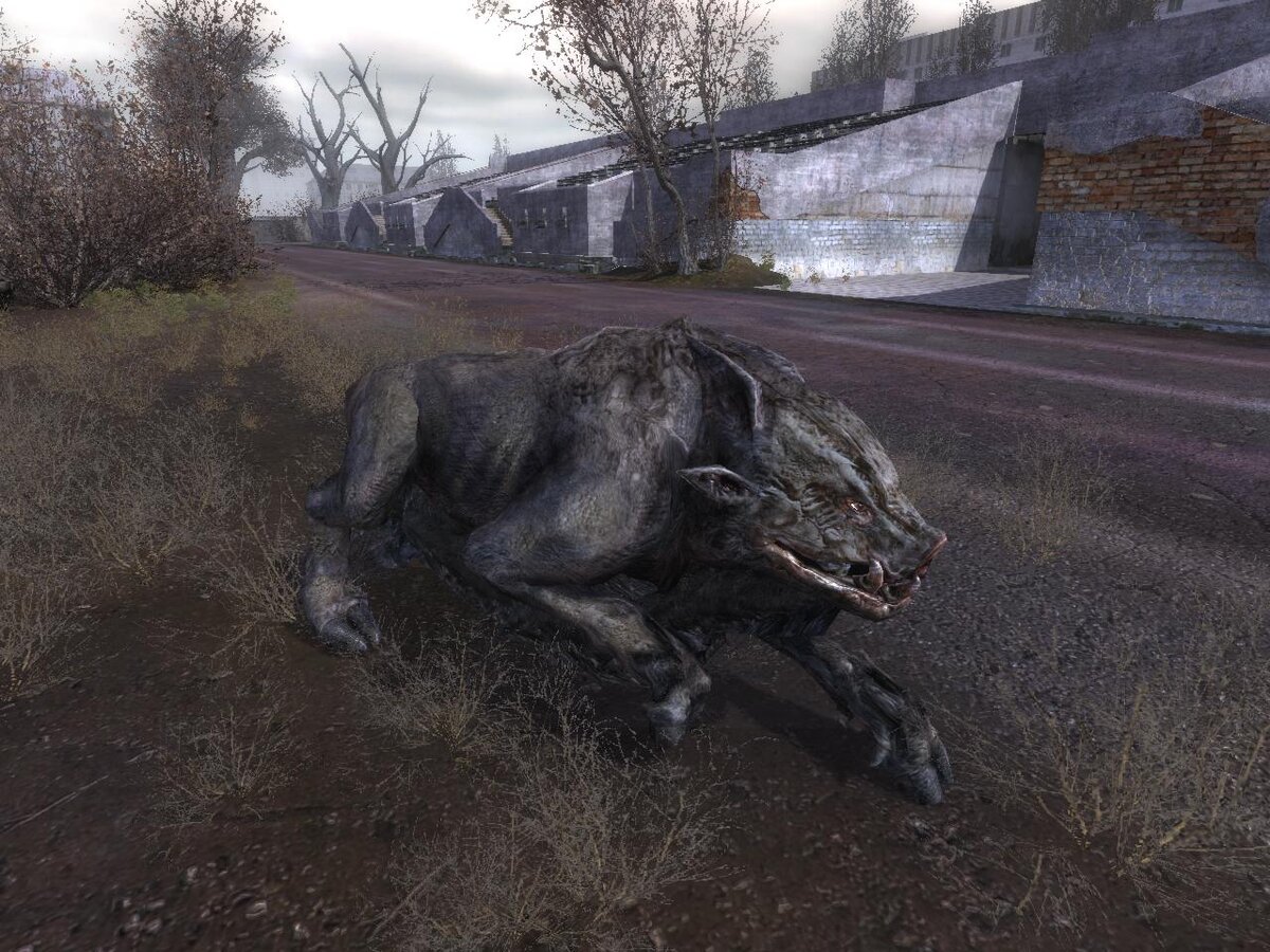 Изображение с сайта playground.ru