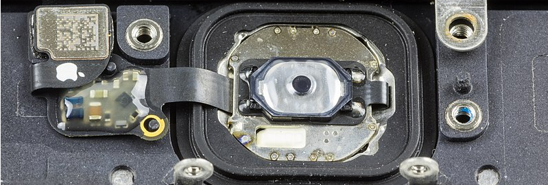 Кнопка HOME c Touch ID предыдущего поколения