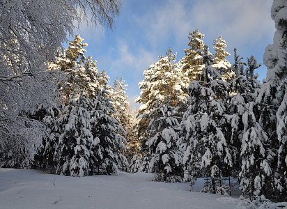 Фото Элины Антонюк
