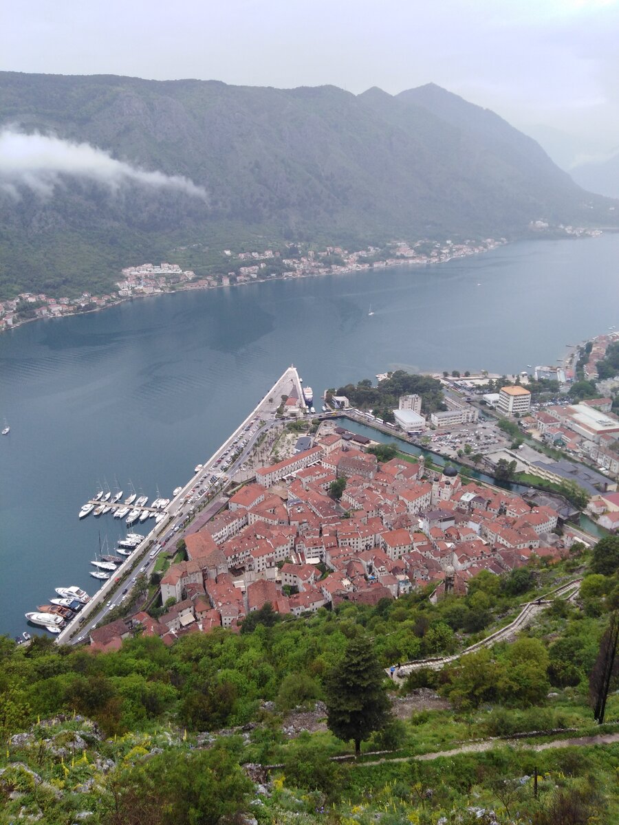 Вид на Котор и Которский залив со стен крепости Святого Иоанна